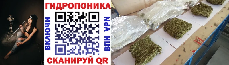 Купить закладку Псилоцибиновые грибы  MDMA  ГАШИШ  APVP  Меф мяу мяу  Подольск